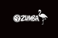 Zumba® Basic (ab 16 Jahre)