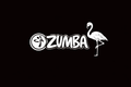 Zumba® Party